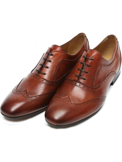 HUDSON Mens Brown Perforated Francis Wingtip Toe Block Heel Lace-Up Leather Oxford Shoes 46