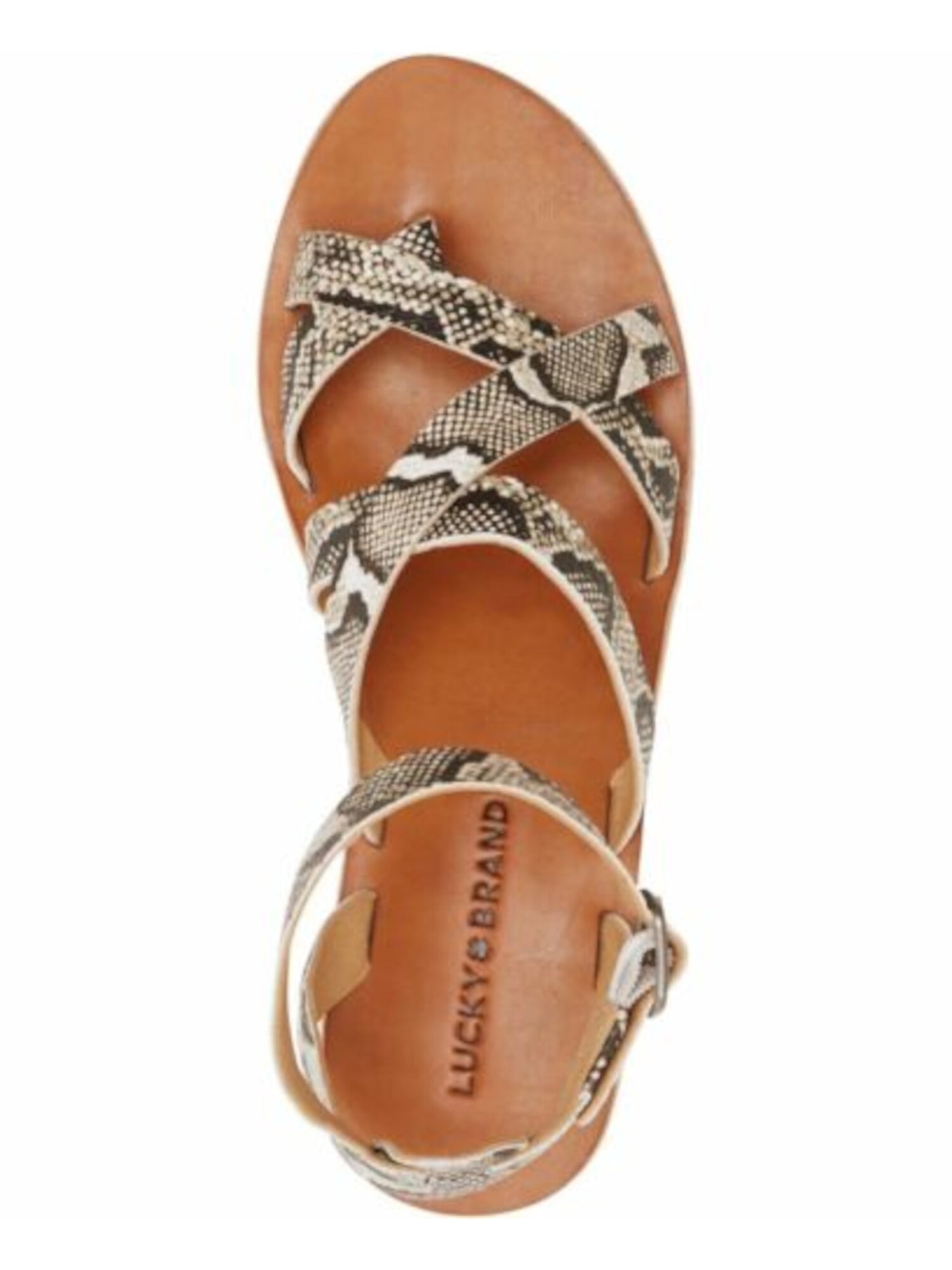 LUCKY BRAND Womens Beige Snakeskin 1" Platform Gladiator-Inspired Ankle Strap Adjustable Jakina Round Toe Wedge Buckle Espadrille Shoes M