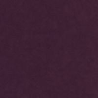 ADRIANNA PAPELL Womens Purple Sleeveless Jewel Neck Full-Length Evening Fit + Flare Dress