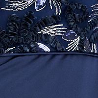 ADRIANNA PAPELL Womens Lace Short Sleeve Boat Neck Maxi Formal Hi-Lo Dress
