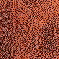 Q+A Los Angeles Womens Orange Lace  Shoulders Lace Animal Print Spaghetti Strap V Neck Top