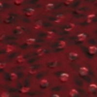 MAISON JULES Womens Burgundy Animal Print 3/4 Sleeve Collared Short Shirt Dress