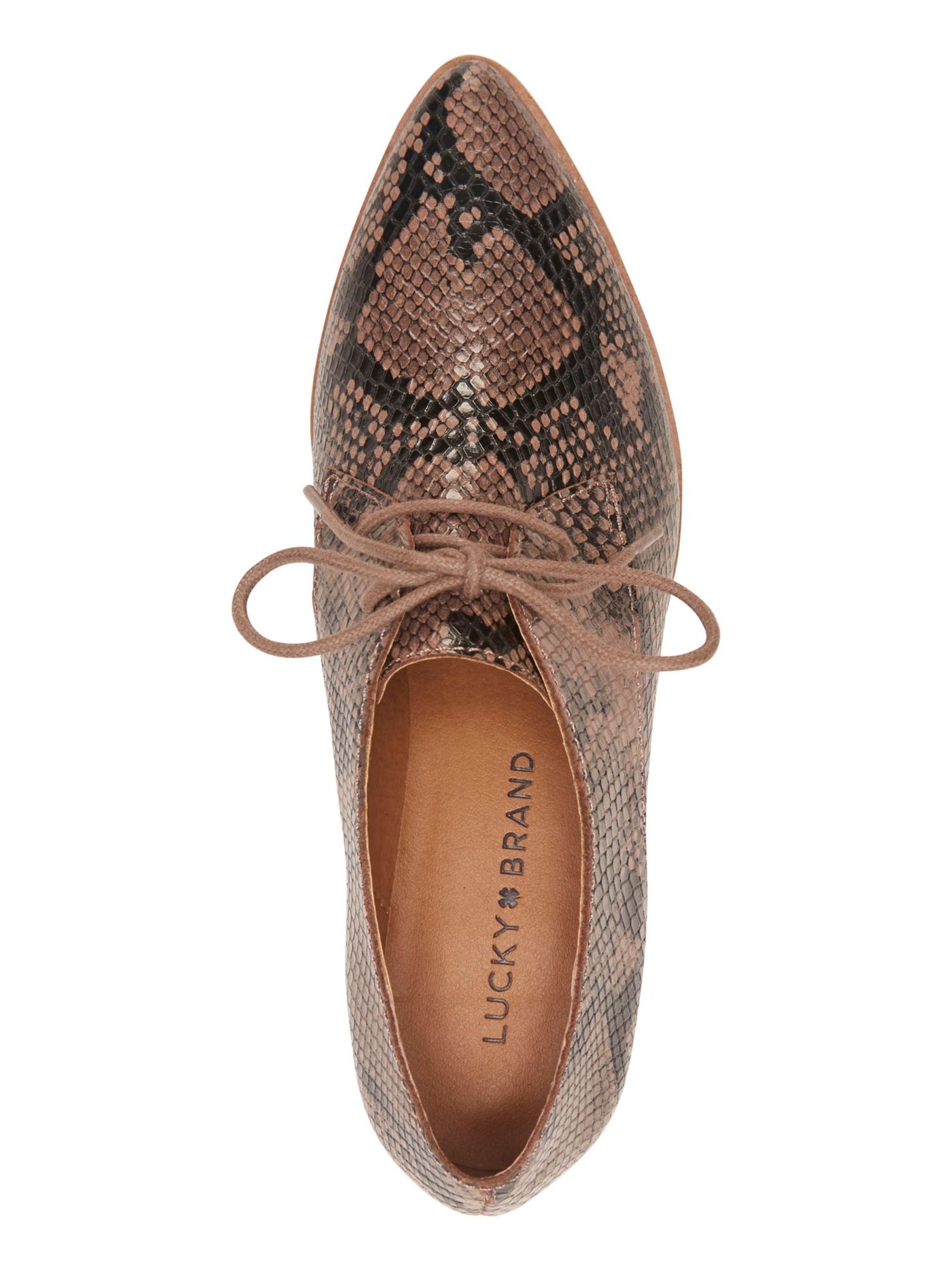LUCKY BRAND Womens Brown Snake Menswear-Inspired Derby Cushioned Erreka Almond Toe Block Heel Lace-Up Leather Flats Shoes 12 M