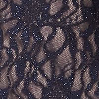 R&M RICHARDS Womens Navy Glitter Sheer Capelet Lace Evening Jacket
