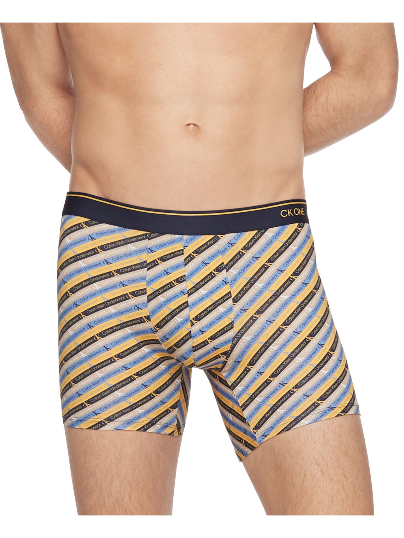 CALVIN KLEIN Intimates Blue Striped Boxer Brief Underwear XL