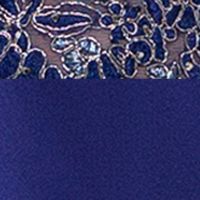 XSCAPE Womens Embroidered Sleeveless Asymmetrical Neckline Full-Length Formal A-Line Dress