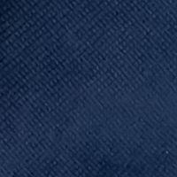 PAISLEY & GRAY Mens Blue Blazer