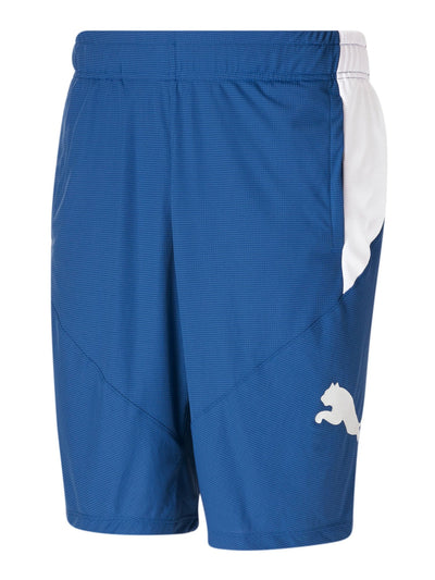 PUMA Mens Blue Shorts S