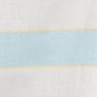 DICKIES Womens Light Blue Ribbed Striped Short Sleeve Crew Neck T-Shirt