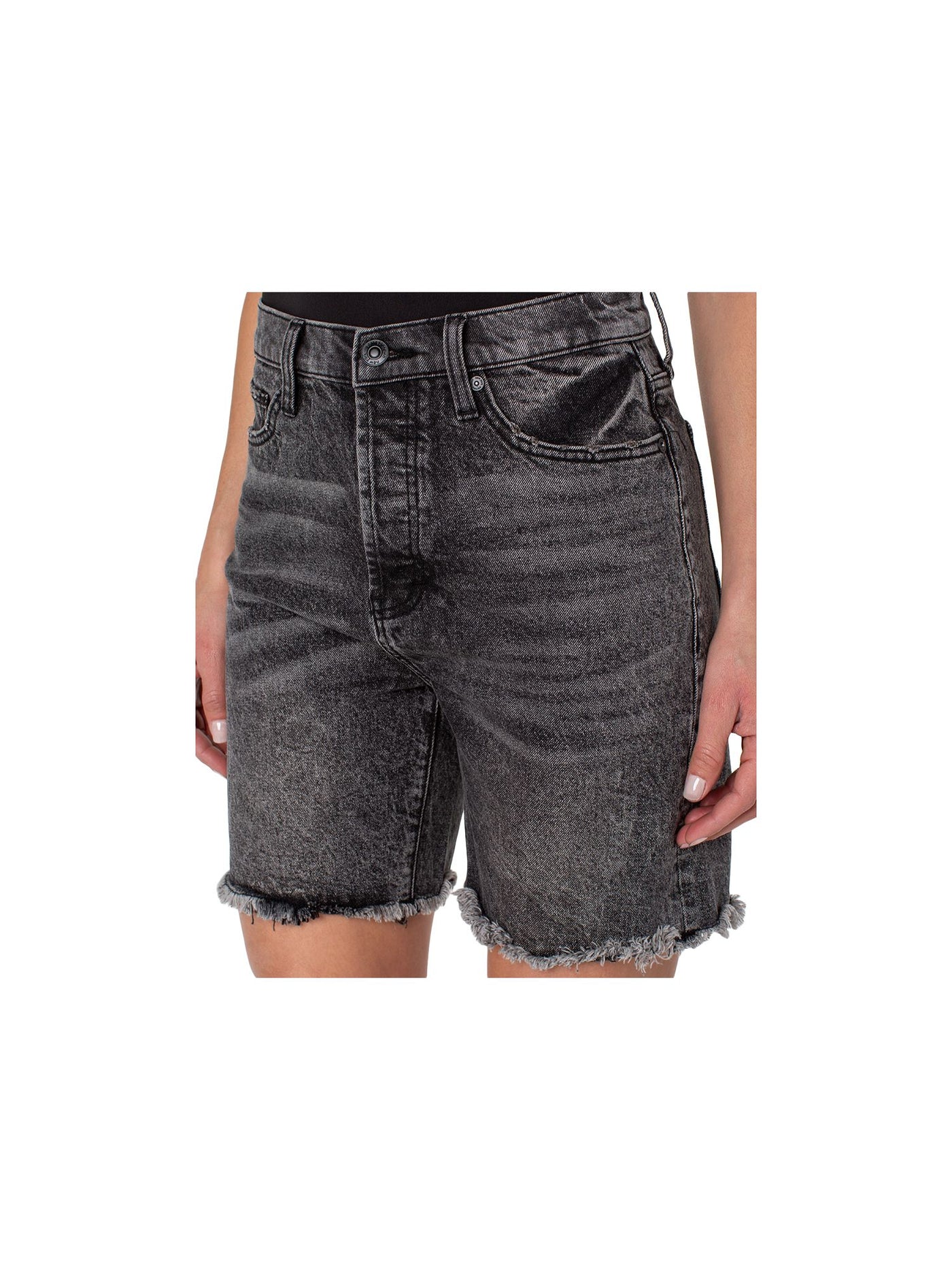 EARNEST SEWN NEW YORK Womens Gray Denim Frayed Pocketed Button Fly High Waist Shorts 26