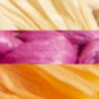 KATE SPADE NEW YORK Womens Pink Mixed Media Rafta Fringe Embelished Padded Bora Bora Square Toe Sculpted Heel Buckle Dress Heeled B
